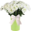 6 Piece Kitchen Utensil Holder for kitchen counter, Utensils crock with Heat Resistant Spoon, Slotted Spoon, Ladle, Spatula BPA Free, Lime