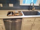 Bernese Mountain Dog Fall Kitchen Pumpkins Dish Drying Mat Absorbent Dish Drying Mat Pad for Kitchen Counter Dish Drainer Mat for Countertop, 14 x 21"